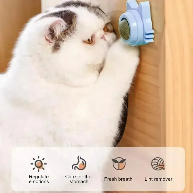 Rotating Catnip Ball Wall Toy for Cats