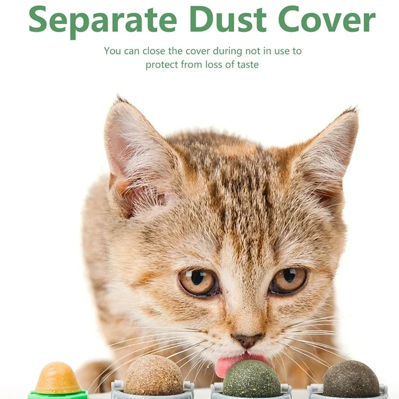 Catnip & Silver Vine Wall Ball for Cats