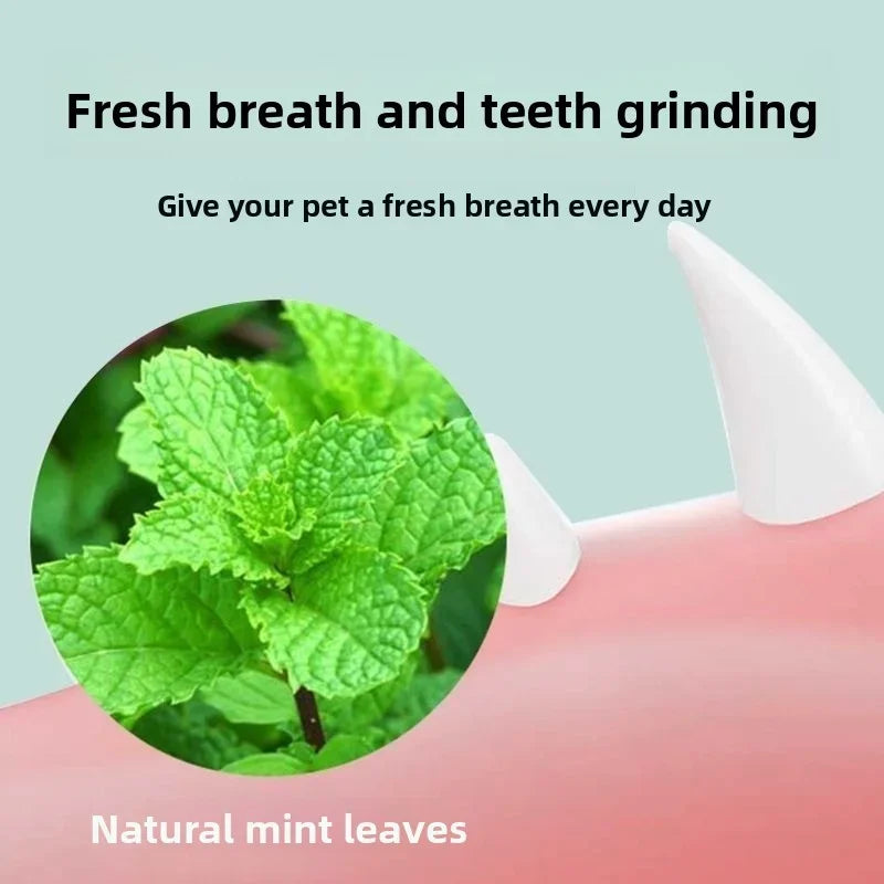 Rotating Catnip Ball Wall Toy for Cats