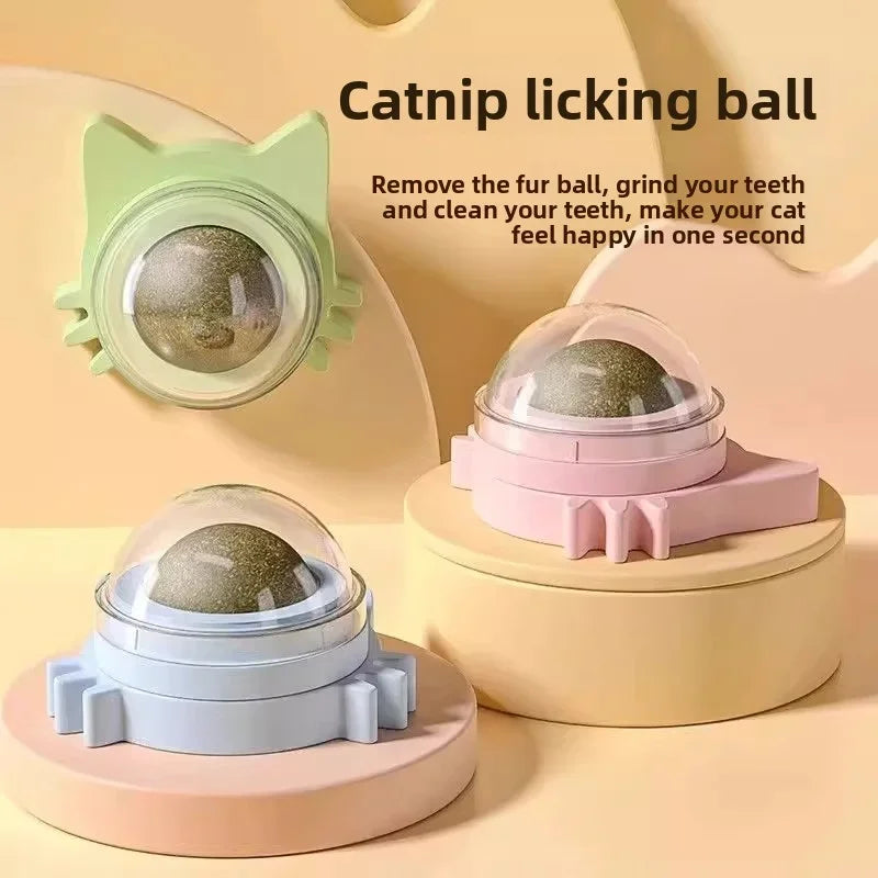 Rotating Catnip Ball Wall Toy for Cats