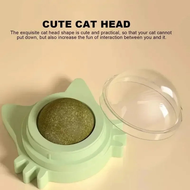 Rotating Catnip Ball Wall Toy for Cats