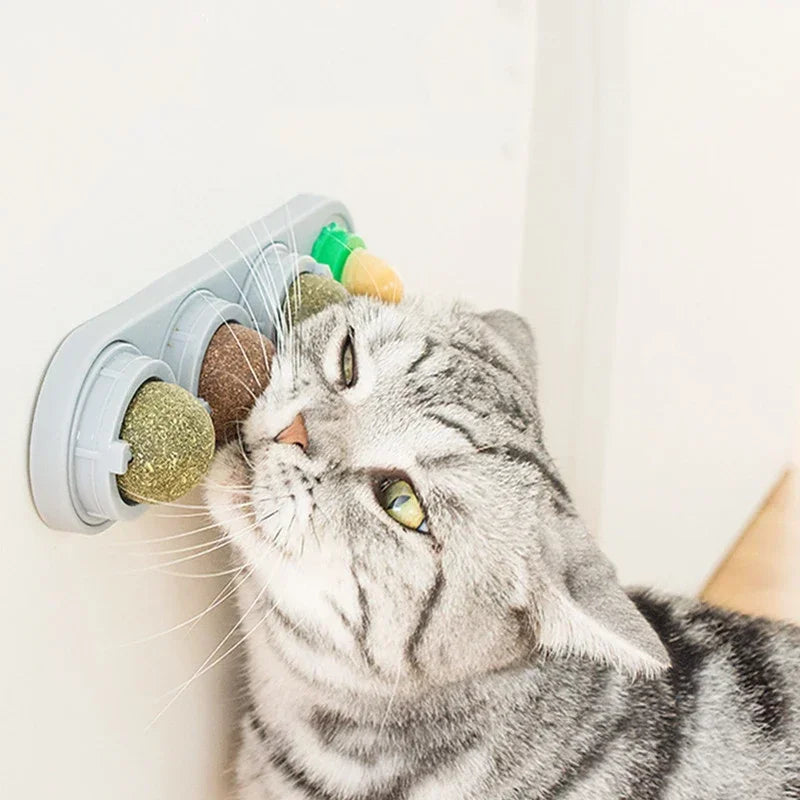 Catnip & Silver Vine Wall Ball for Cats