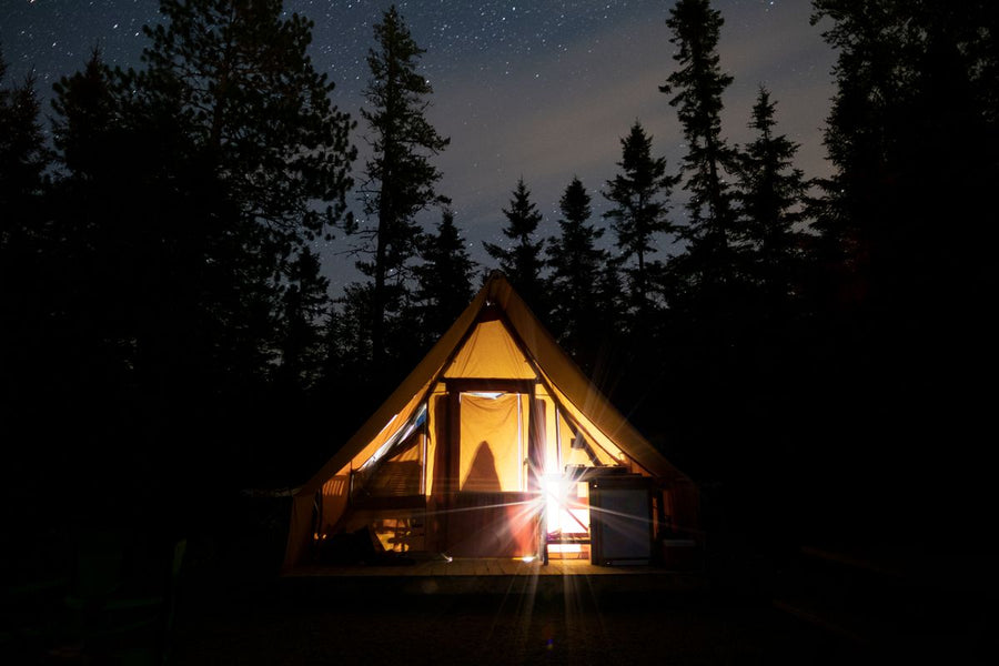 Tent lit up in the forest at night