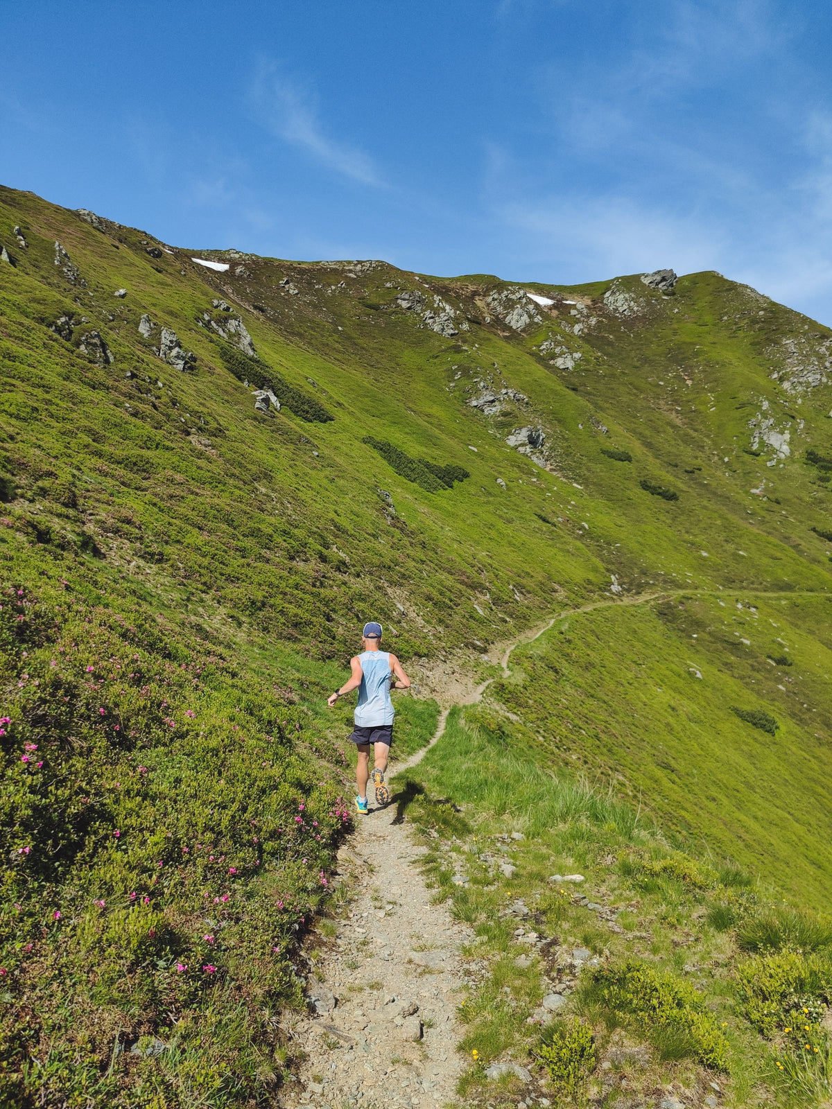 Trail runner on a green mountain path